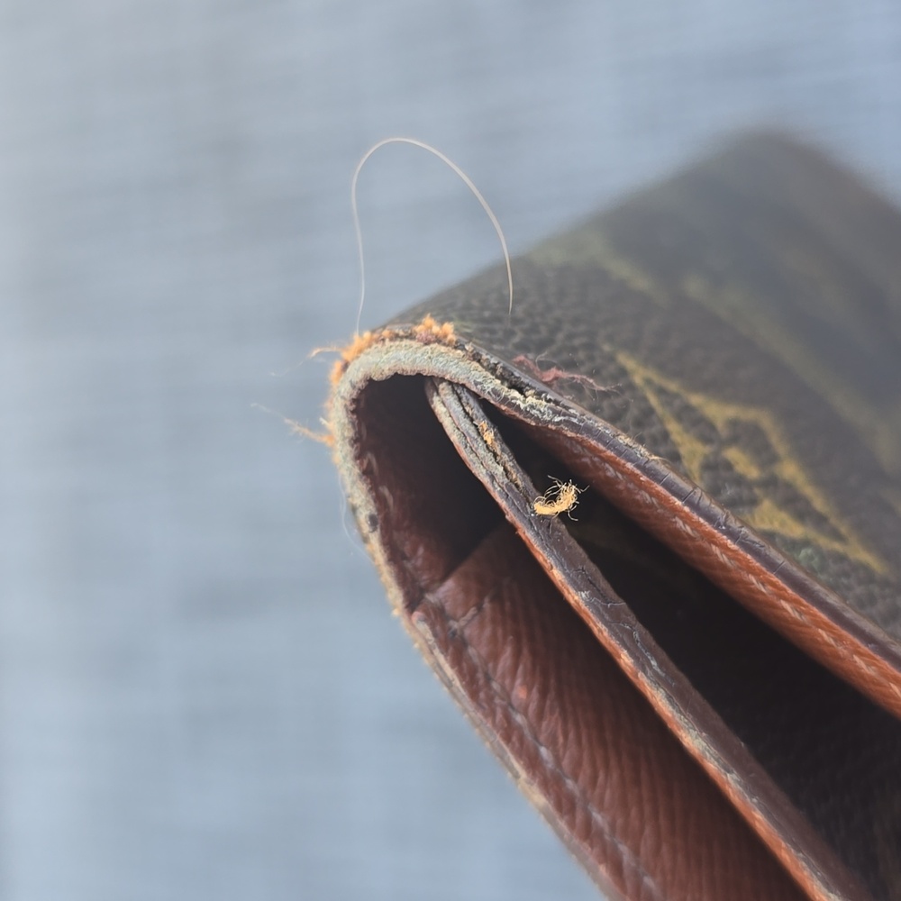 Free With $200 Purchase Louis Vuitton Monogram Wallet - Picture 12 of 14